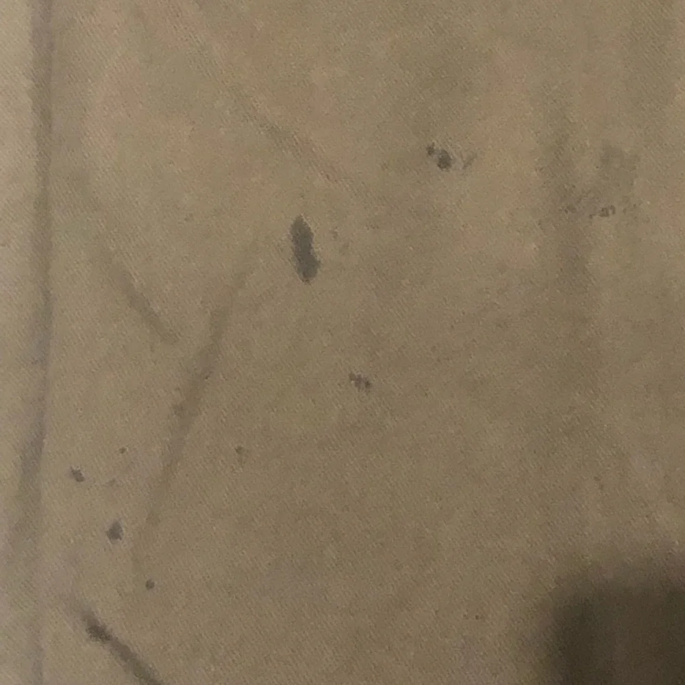 Dickies - Picture 4 of 4